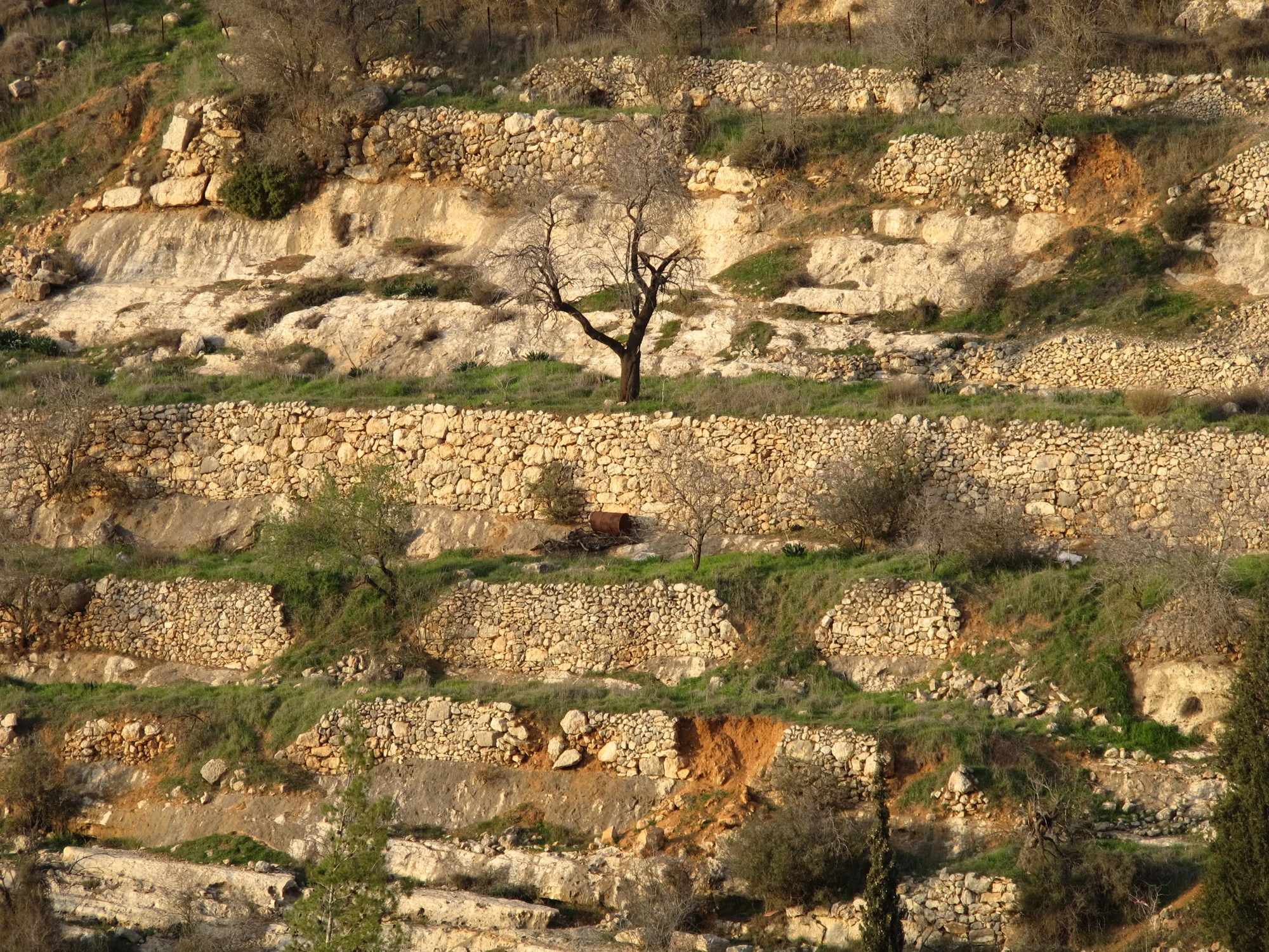 טרסות אבן ושרידי שומרות בעמק התימנים בעין כרם